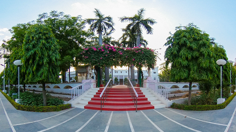 Image of Lawn